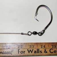 Terminal end of lure