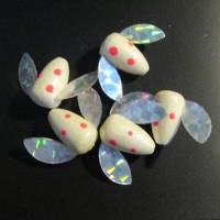 spin and glow fishing