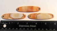 Conch Shell, Brown Orange 2.75" // 70mm salmon fishing spoon FL0014