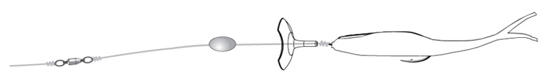 WiggleFin Action Disc casting setup for fishing